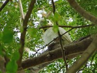 Im Komodo Nationalpark